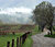 Cades Cove Road