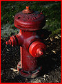 Picture Title - hydrant #II