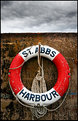 Picture Title - St Abbs  -  2