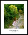 Picture Title - Beck's Branch Creek