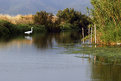 Picture Title - Wildlife at lagoon