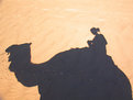 Picture Title - self-portrait on a camel