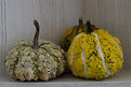 Picture Title - Three pumpkins