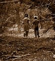 Picture Title - a walk in the woods