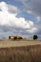 Picture Title - Tuscany country #1