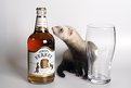 Picture Title - Fursty Ferret