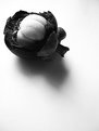 Picture Title - Cracked Mangosteen