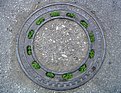Picture Title - Blooming Manhole