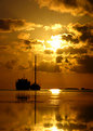 Picture Title - A Golden Sunset