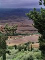 Picture Title - Tuscany # 1