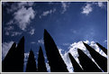 Picture Title - teeth