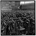 Picture Title - Sea of Bikes II