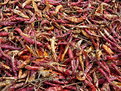 Picture Title - Drying Chilli 