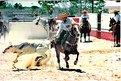 Picture Title - Charros