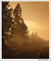 Picture Title - Misty Road