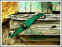 Picture Title - an old green hinge....