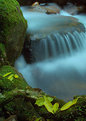 Picture Title - Wairere Falls II