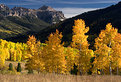 Picture Title - Colorado Colors