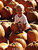 Pumpkin Boy (version 2)