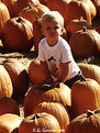 Picture Title - Pumpkin Boy (version 2)