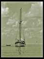 Picture Title - pirates