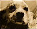 Picture Title - my little