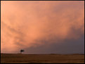 Picture Title - moorland