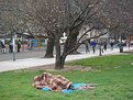 Picture Title - Homeless in Early Spring