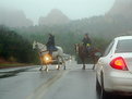 Picture Title - Horses have the right of way