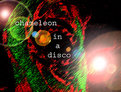 Picture Title - Chameleon in a disco