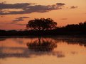 Picture Title - Broad Pool