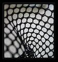 Picture Title - Tennis-net