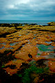 Picture Title - The beach of Scotland