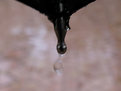 Picture Title - a drop of water