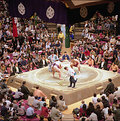 Picture Title - Sumo II