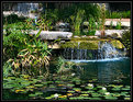 Picture Title - Sun City Water Fall #2