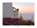 Picture Title - Flowers and the sea