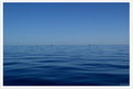 Picture Title - Blue Sky Blue Sea Separated by the Horizon