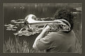 Picture Title - Concerto for ducks and trombone