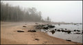 Picture Title - foggy day at the beach