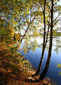 Picture Title - Autumn colours 