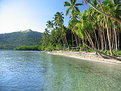 Picture Title - Fijian Driveway