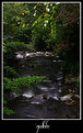 Picture Title - -River-