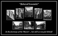 Picture Title - BELOVED YOSEMITE