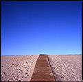 Picture Title - Early Morning Assateague