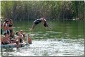 Picture Title - Back flip