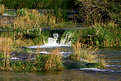 Picture Title - Upper rapids of Krka