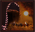 Picture Title - Arabian Night