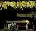 Picture Title - Tobacco Barn