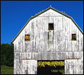 Picture Title - Tobacco Barn II